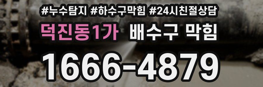 덕진동1가 배수구 막힘