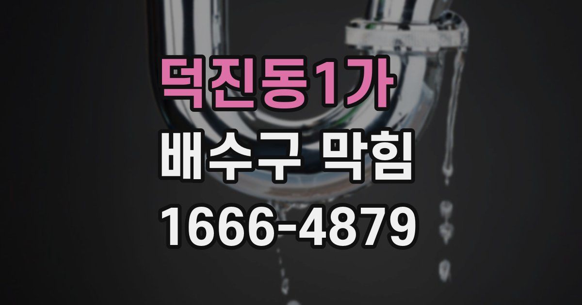 덕진동1가 배수구 막힘