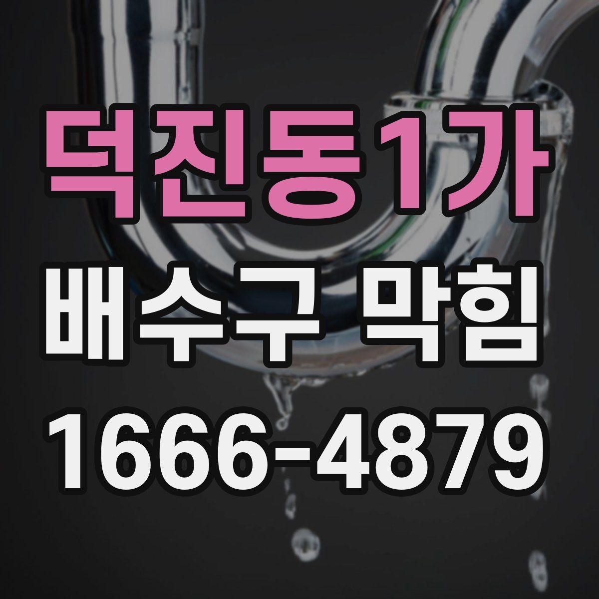 덕진동1가 배수구 막힘