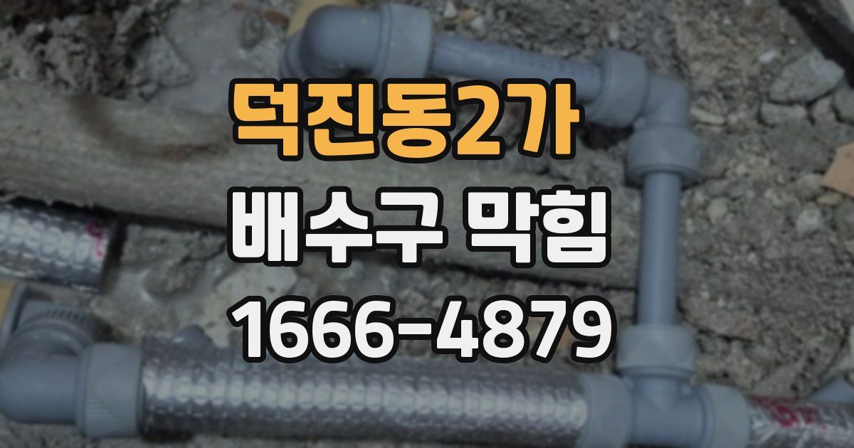 덕진동2가 배수구 막힘