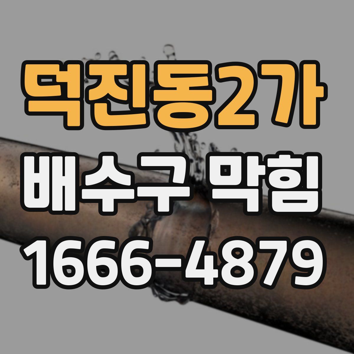 덕진동2가 배수구 막힘