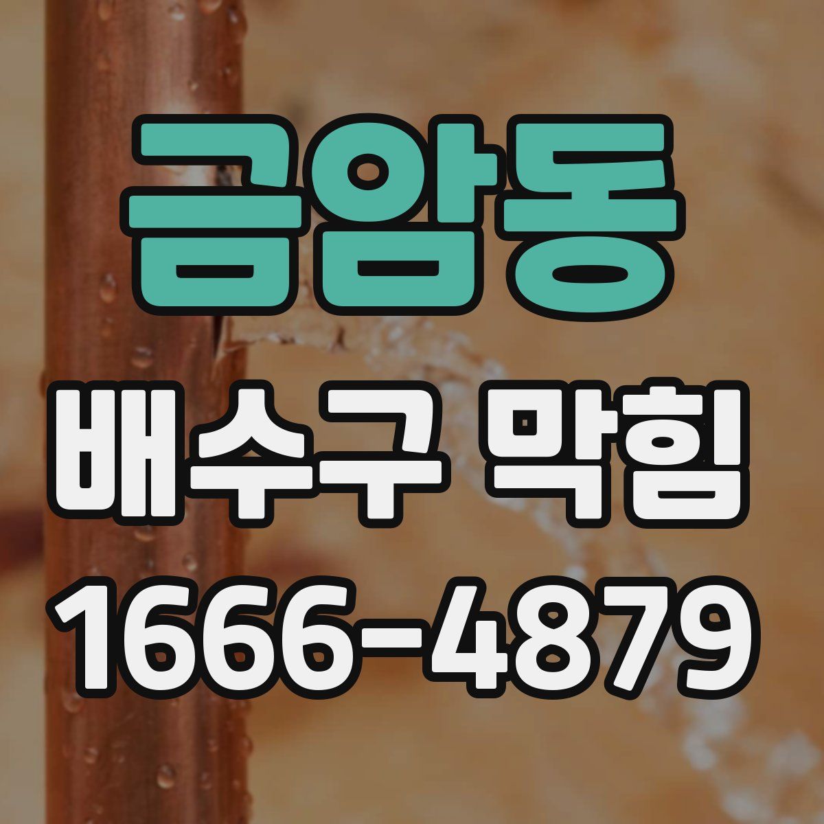 금암동 배수구 막힘