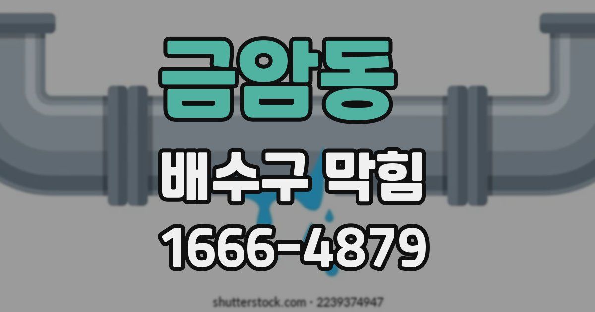 금암동 배수구 막힘