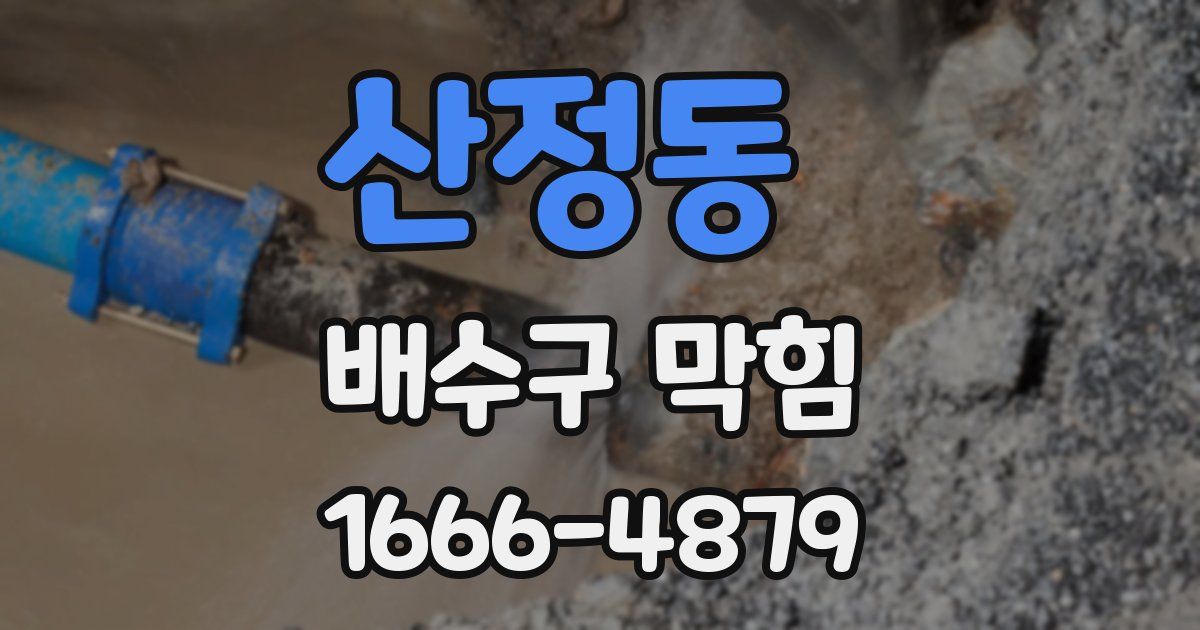 산정동 배수구 막힘
