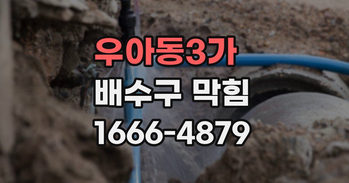 우아동3가 배수구 막힘