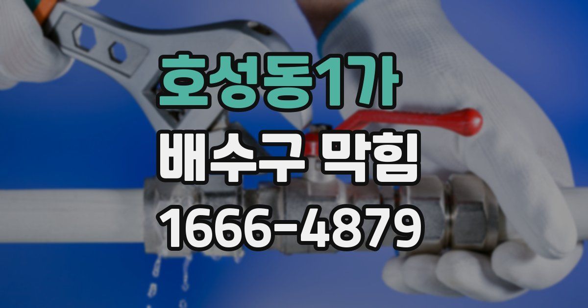 호성동1가 배수구 막힘