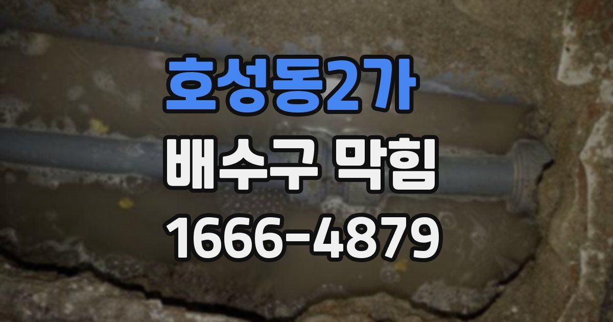 호성동2가 배수구 막힘