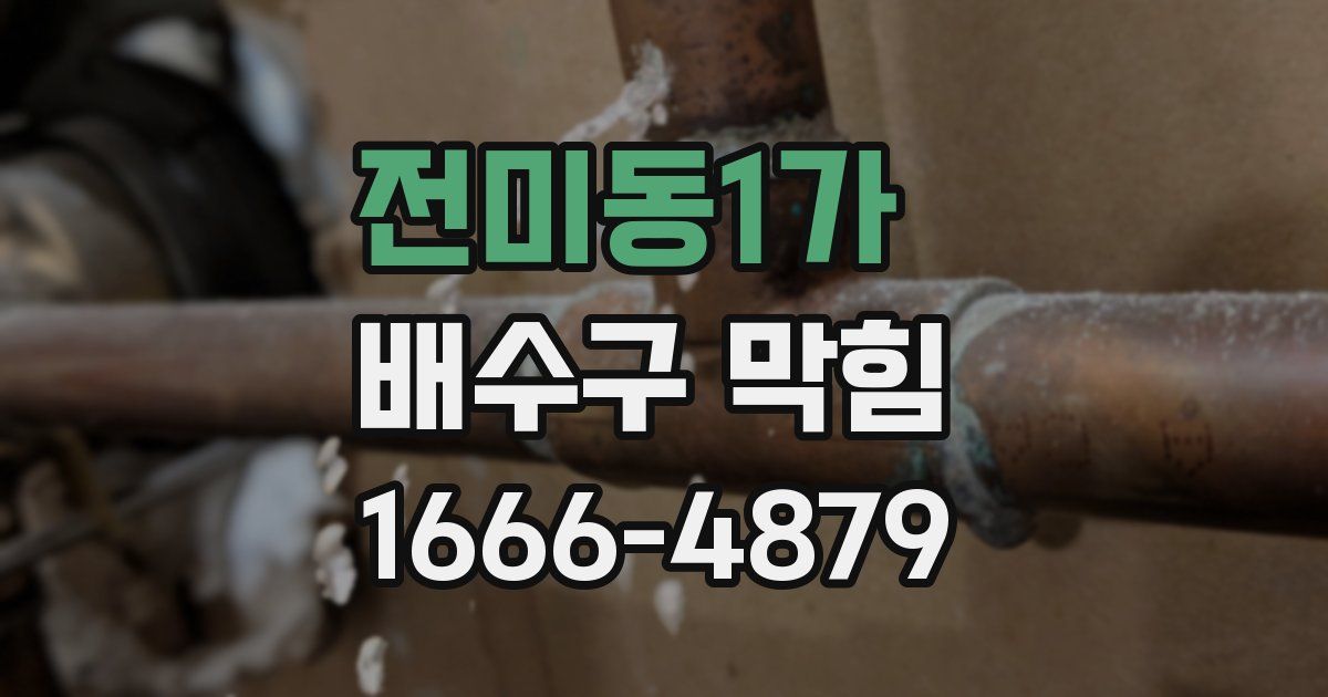 전미동1가 배수구 막힘