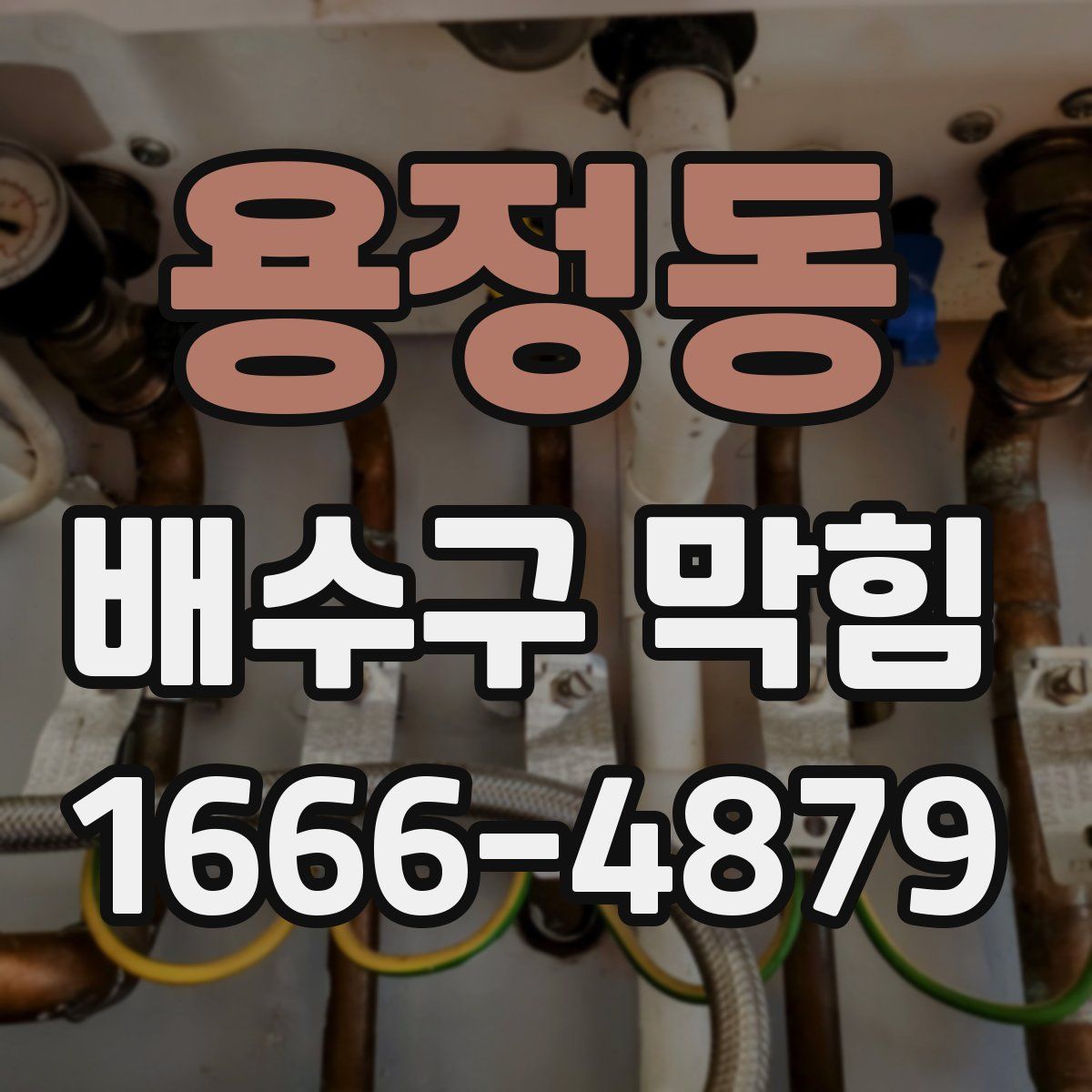 용정동 배수구 막힘