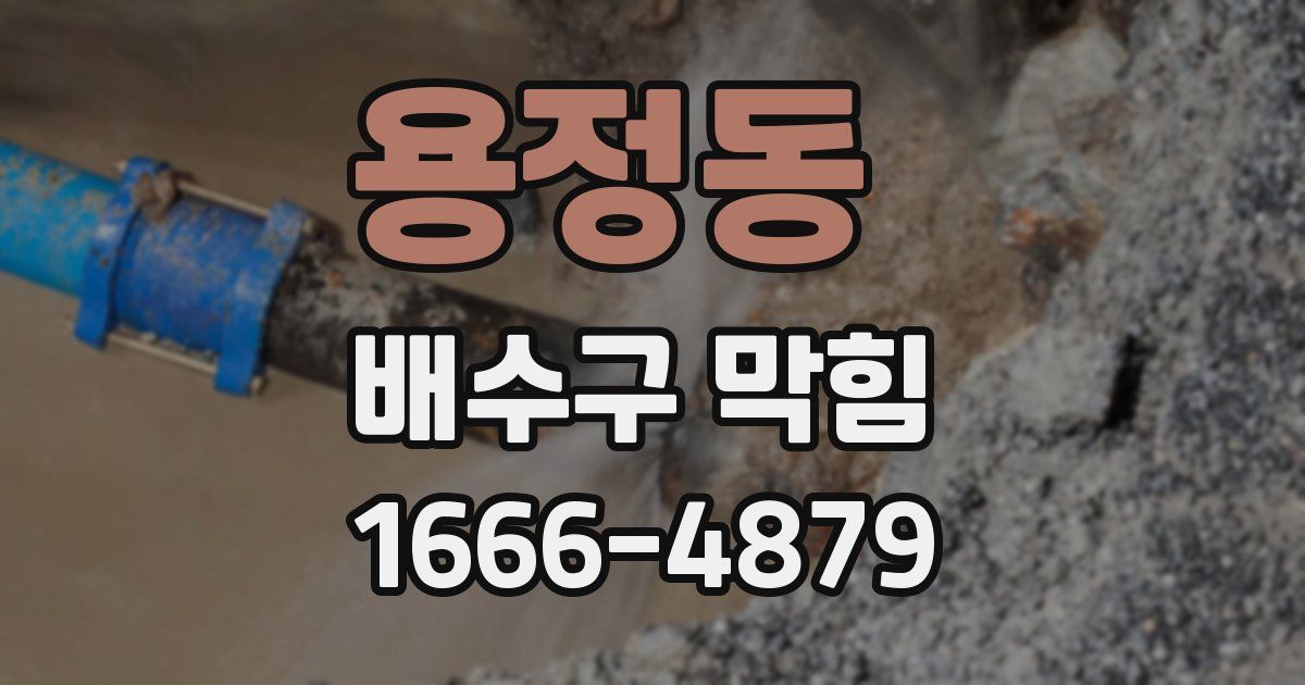 용정동 배수구 막힘
