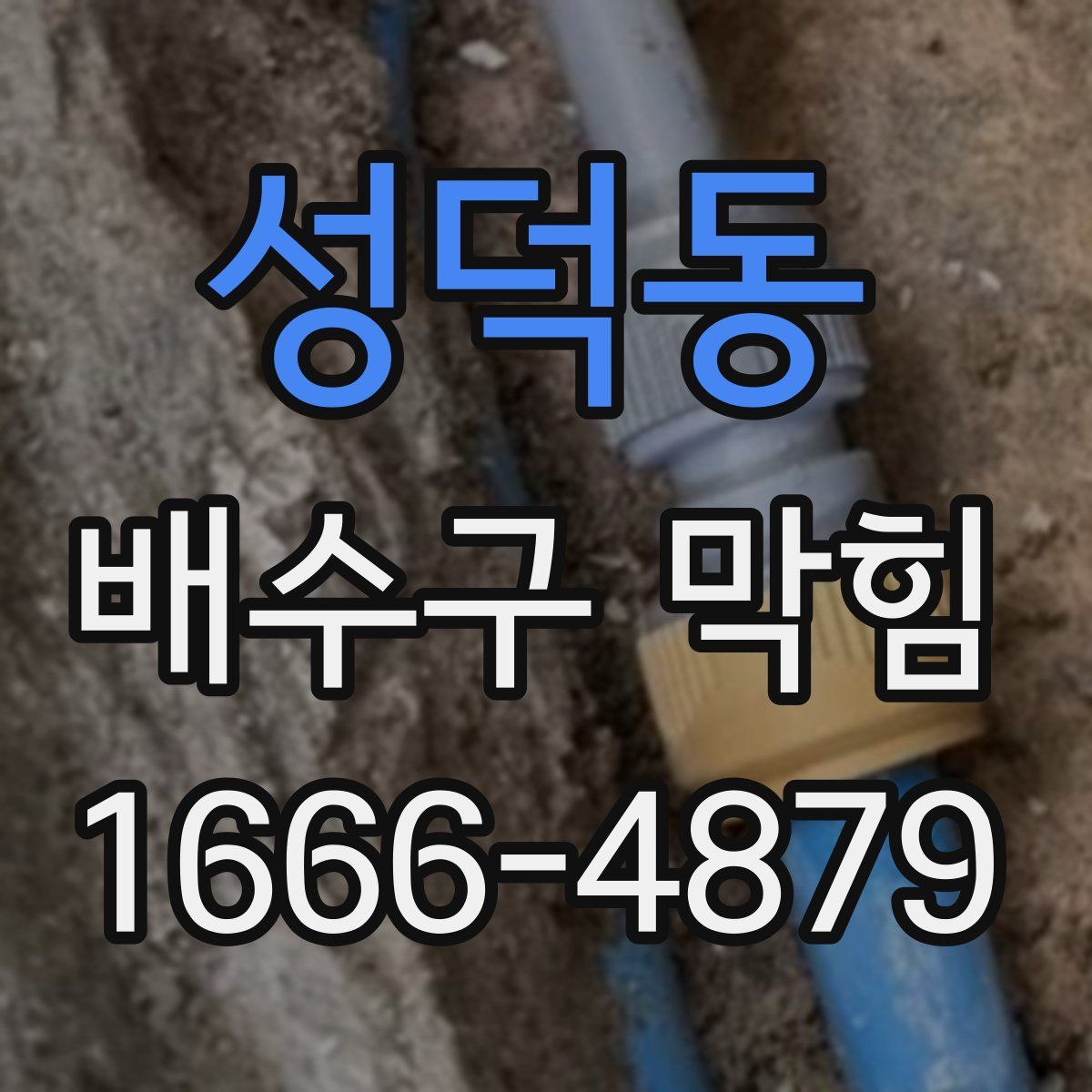성덕동 배수구 막힘