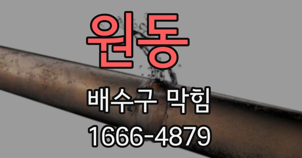 원동 배수구 막힘