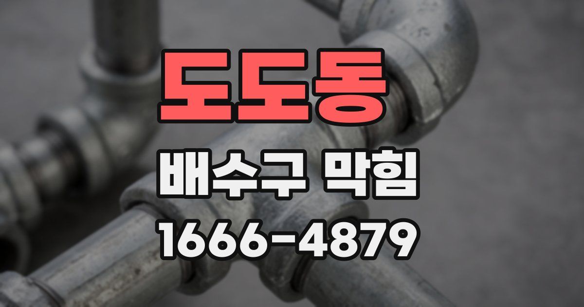 도도동 배수구 막힘