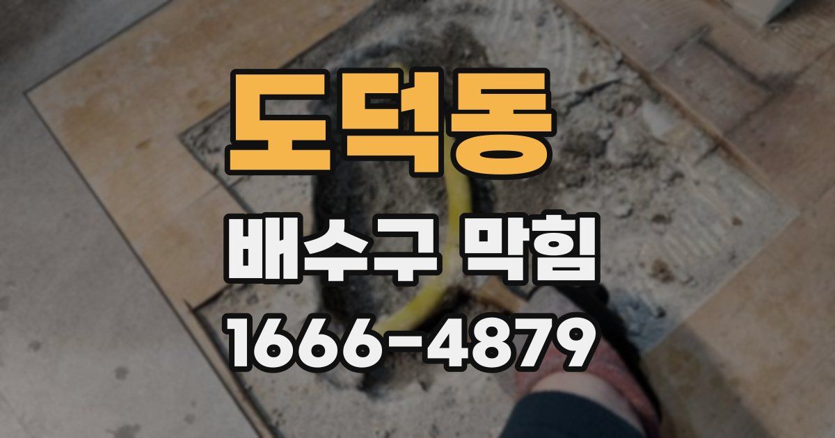 도덕동 배수구 막힘
