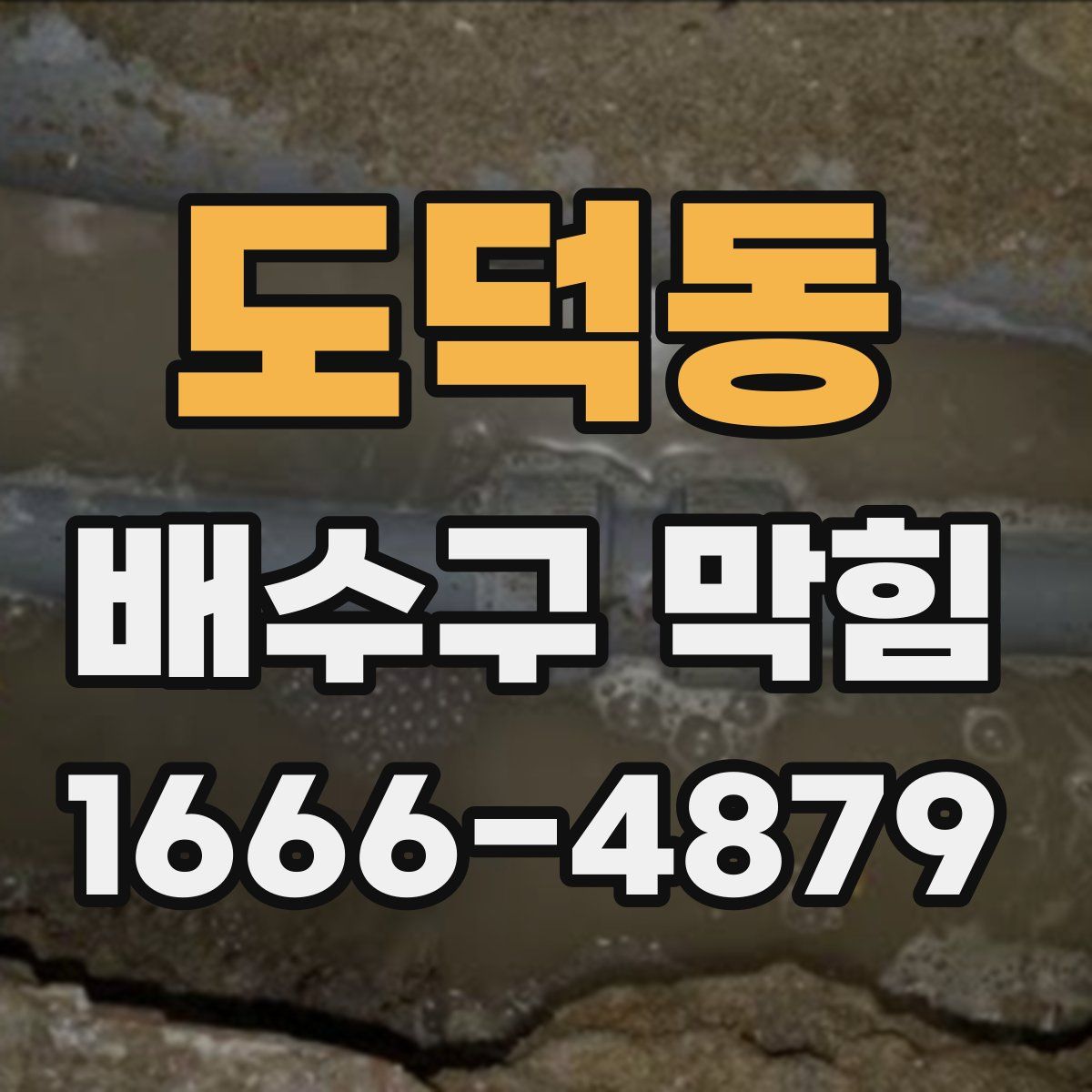 도덕동 배수구 막힘