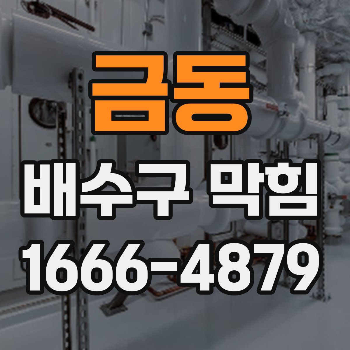 금동 배수구 막힘