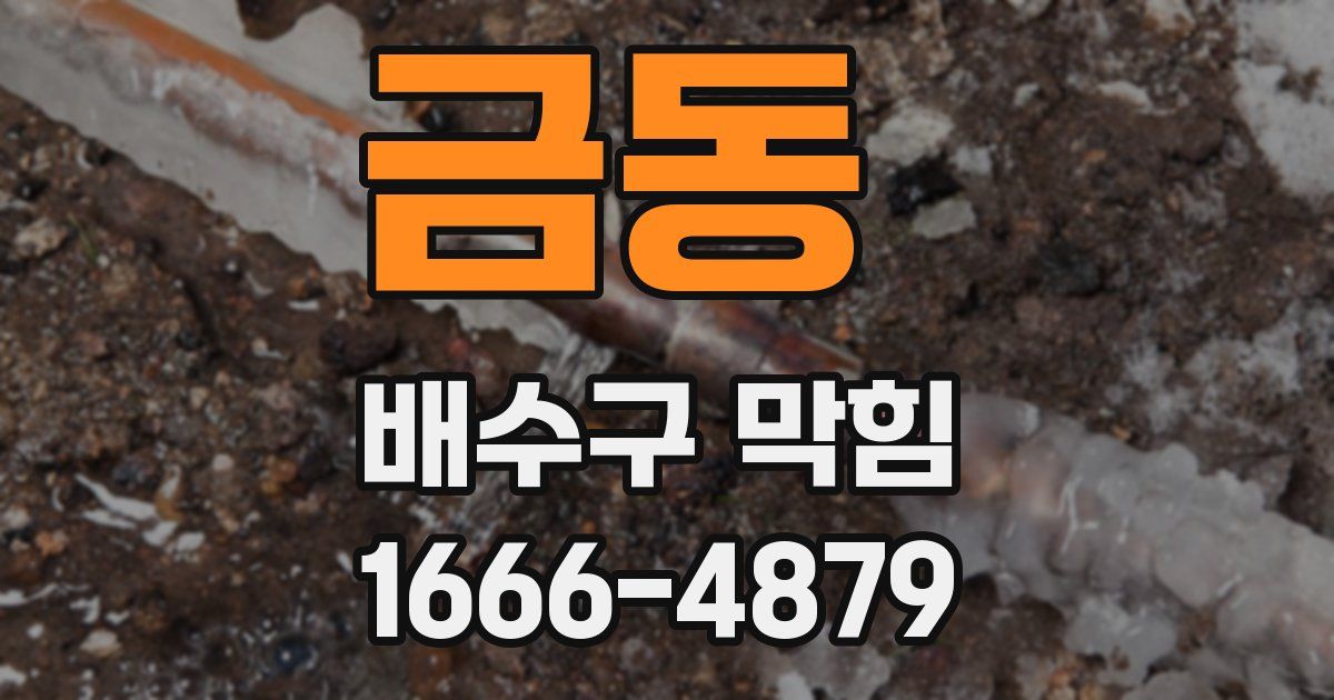 금동 배수구 막힘