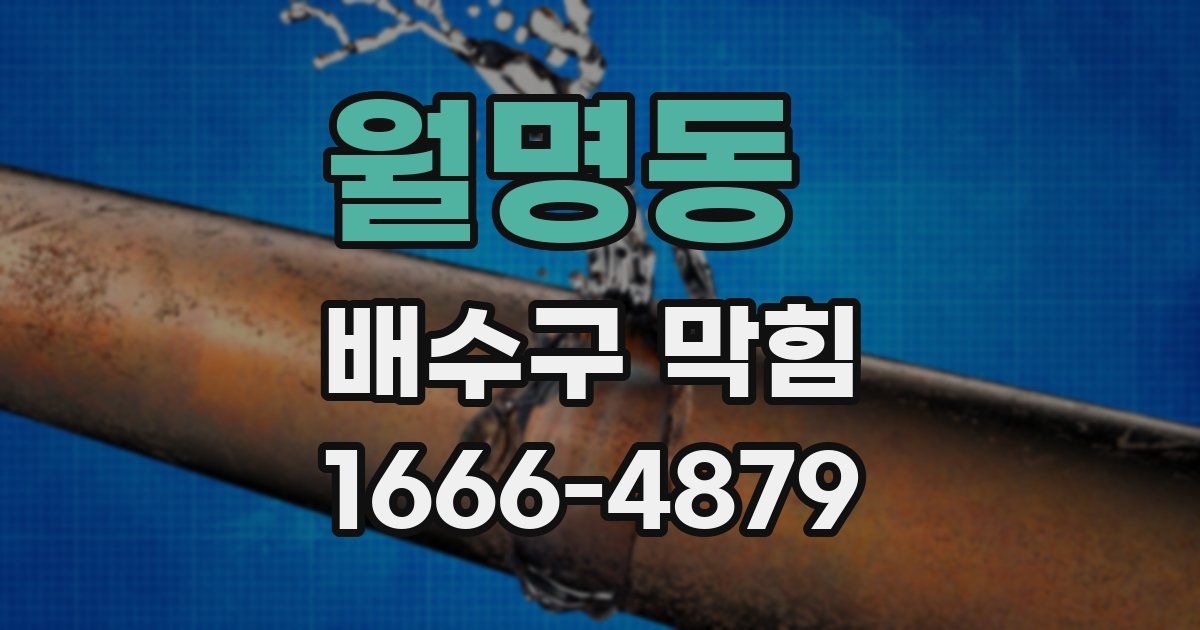 월명동 배수구 막힘