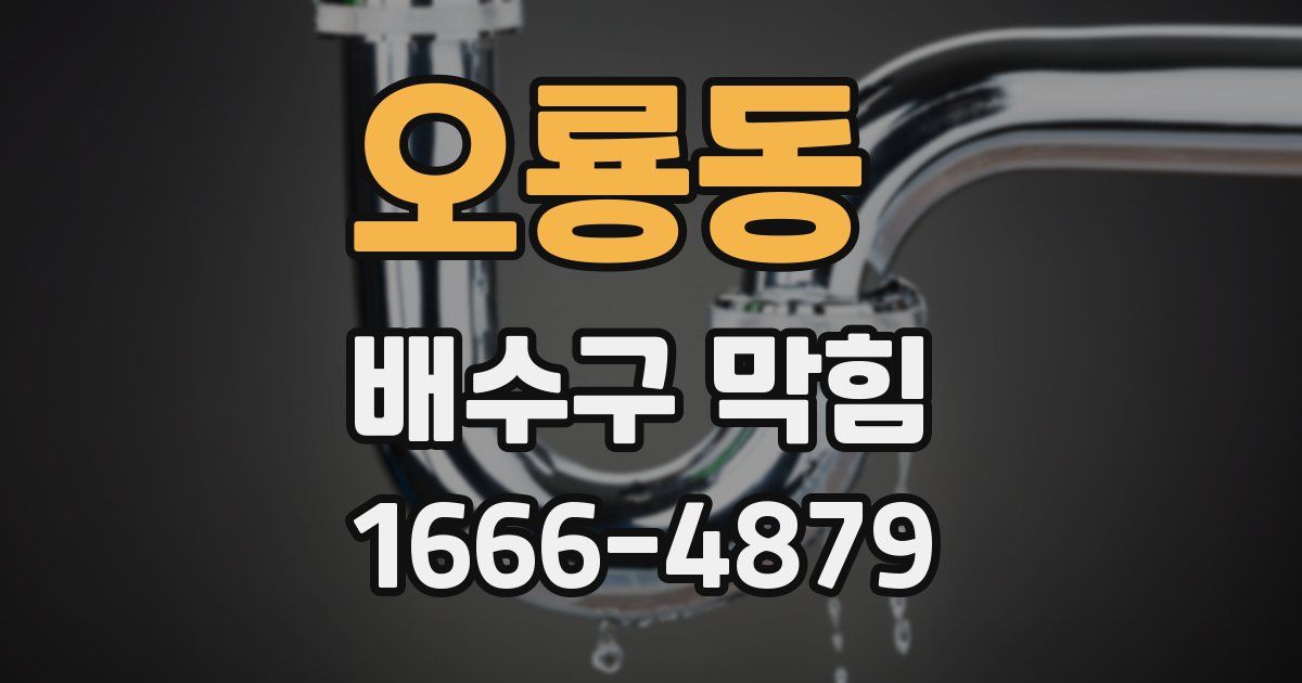 오룡동 배수구 막힘
