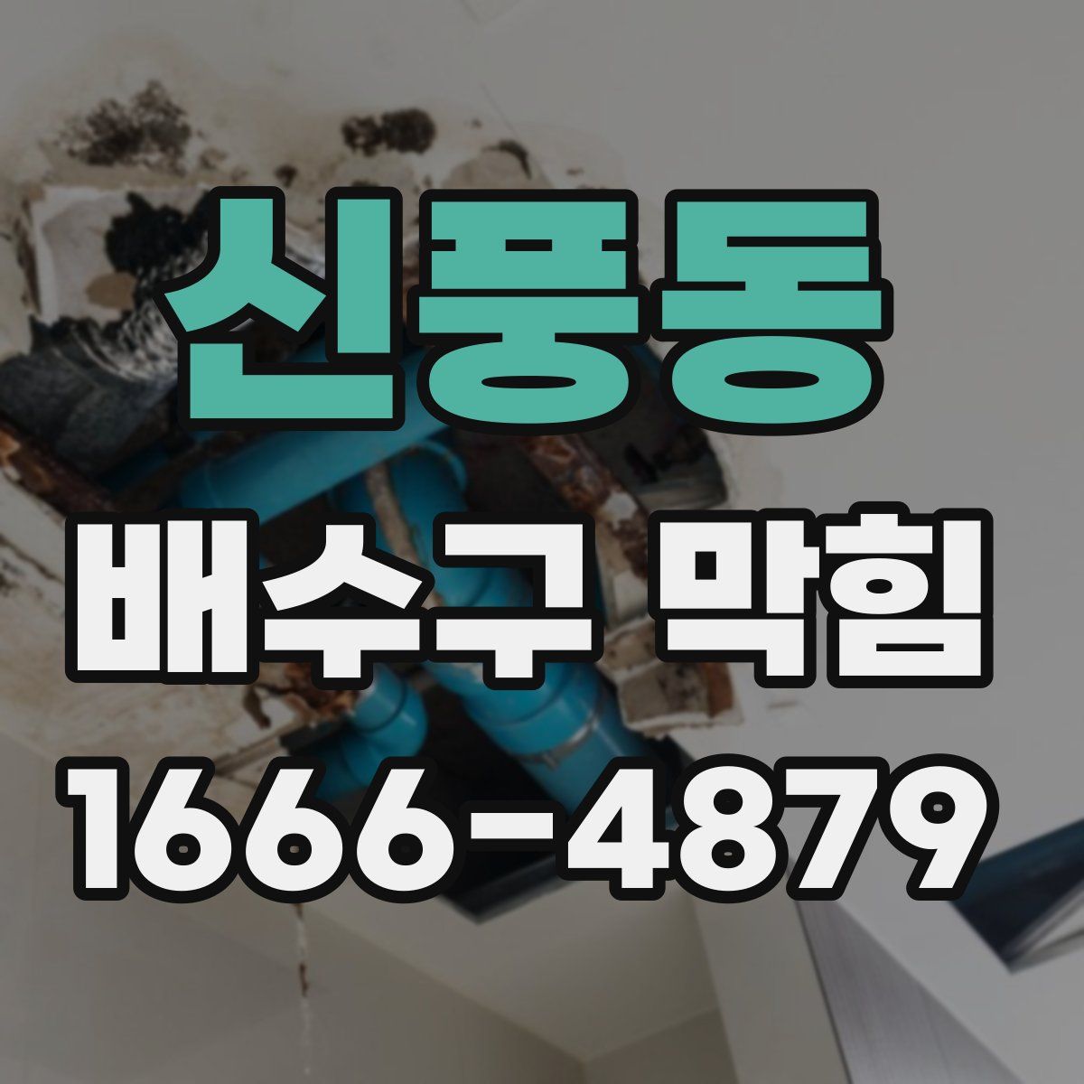 신풍동 배수구 막힘