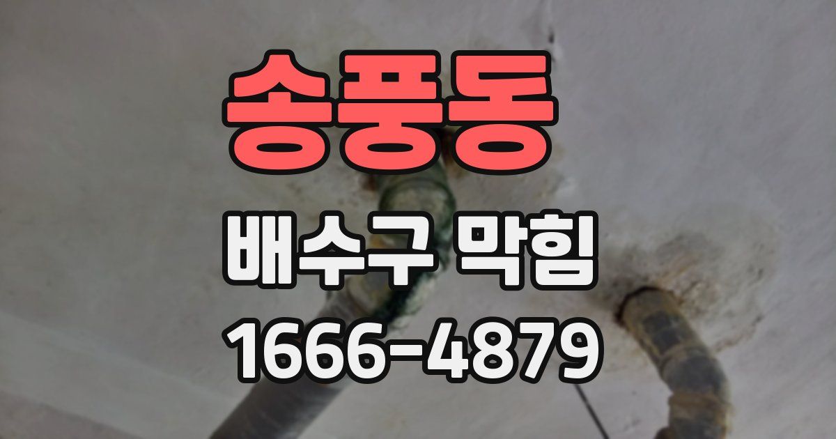 송풍동 배수구 막힘