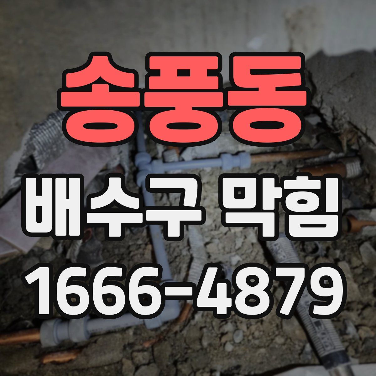 송풍동 배수구 막힘