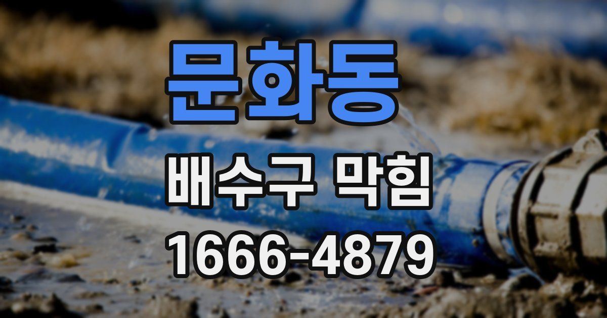 문화동 배수구 막힘