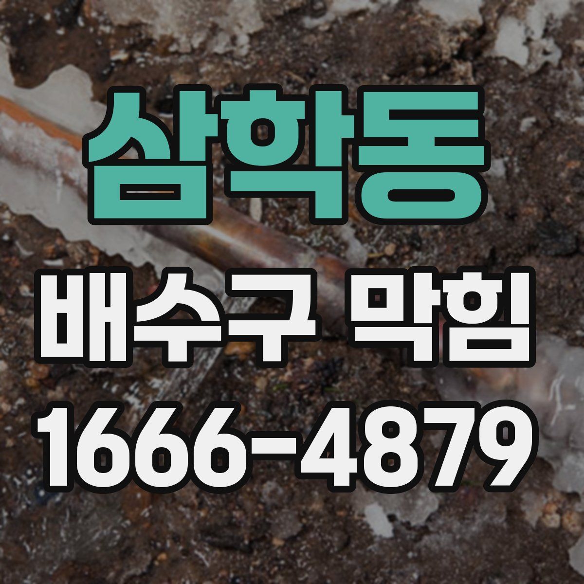 삼학동 배수구 막힘