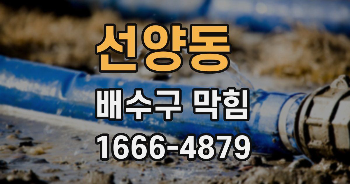 선양동 배수구 막힘