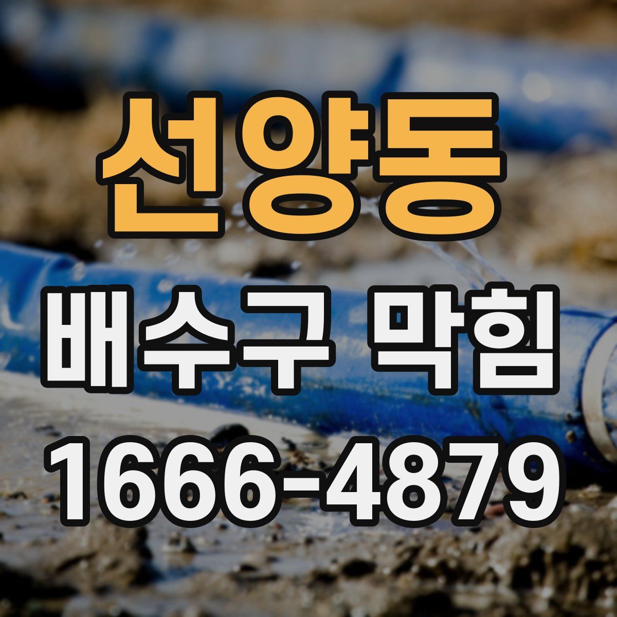 선양동 배수구 막힘