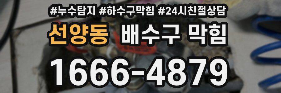 선양동 배수구 막힘