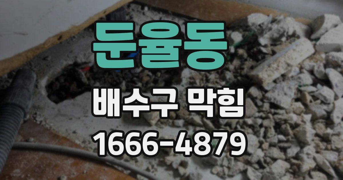둔율동 배수구 막힘