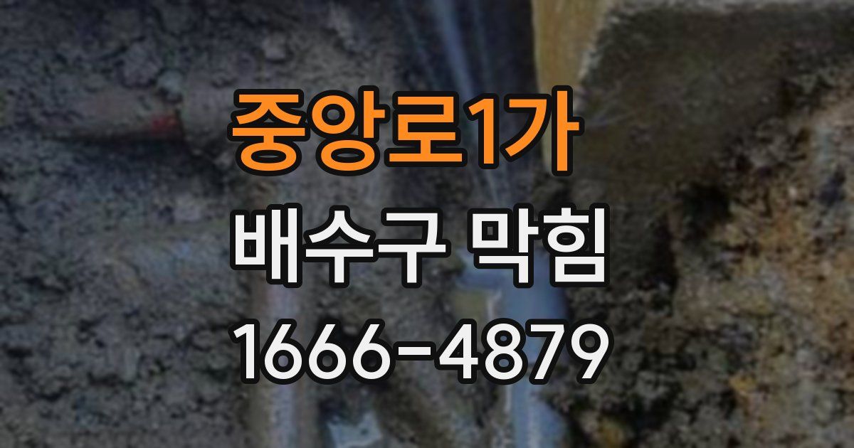 중앙로1가 배수구 막힘