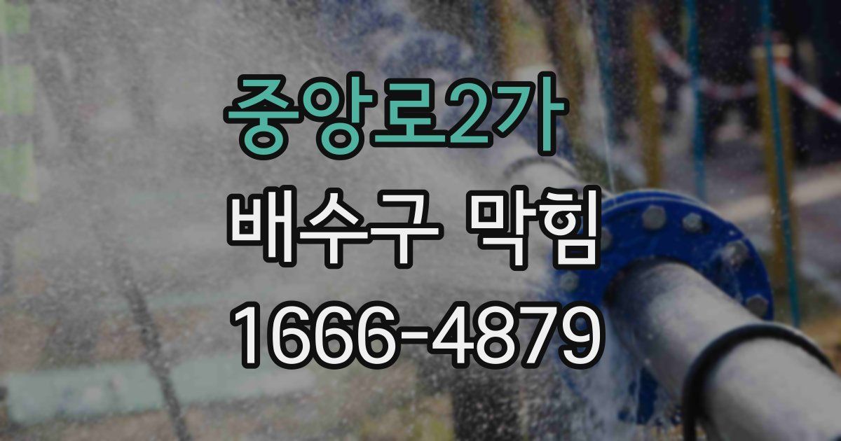 중앙로2가 배수구 막힘