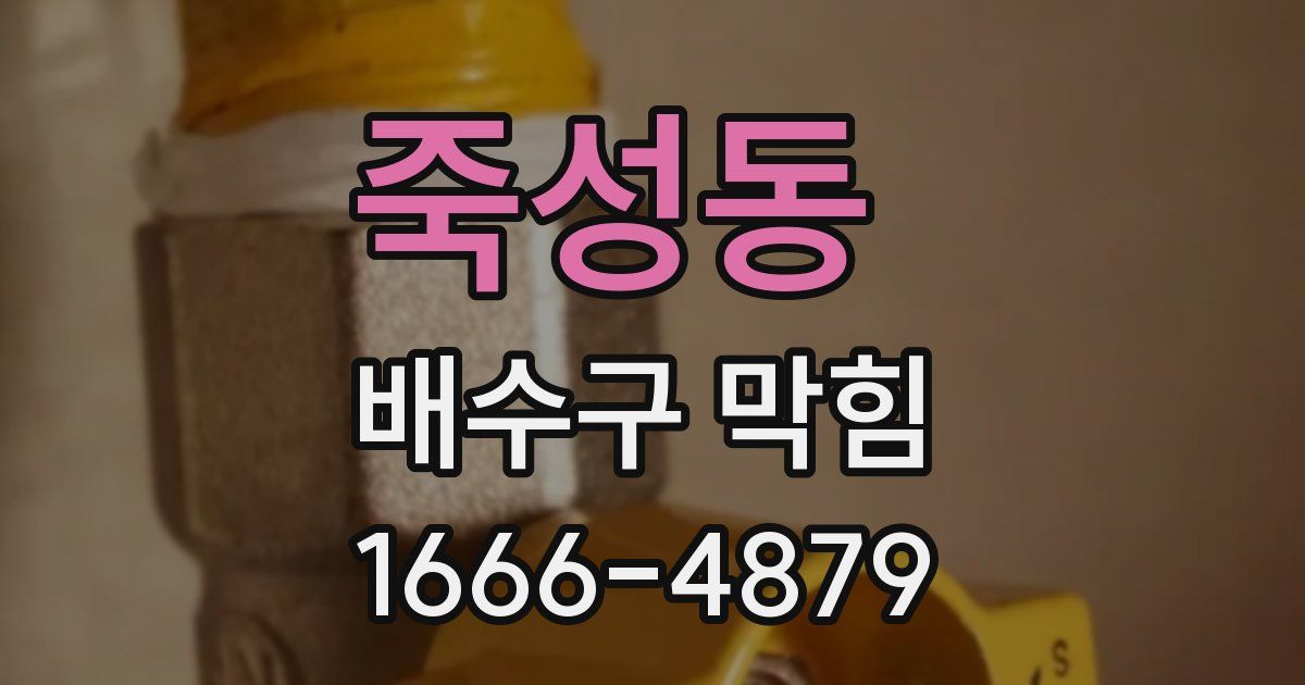 죽성동 배수구 막힘