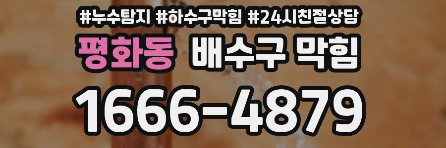 평화동 배수구 막힘