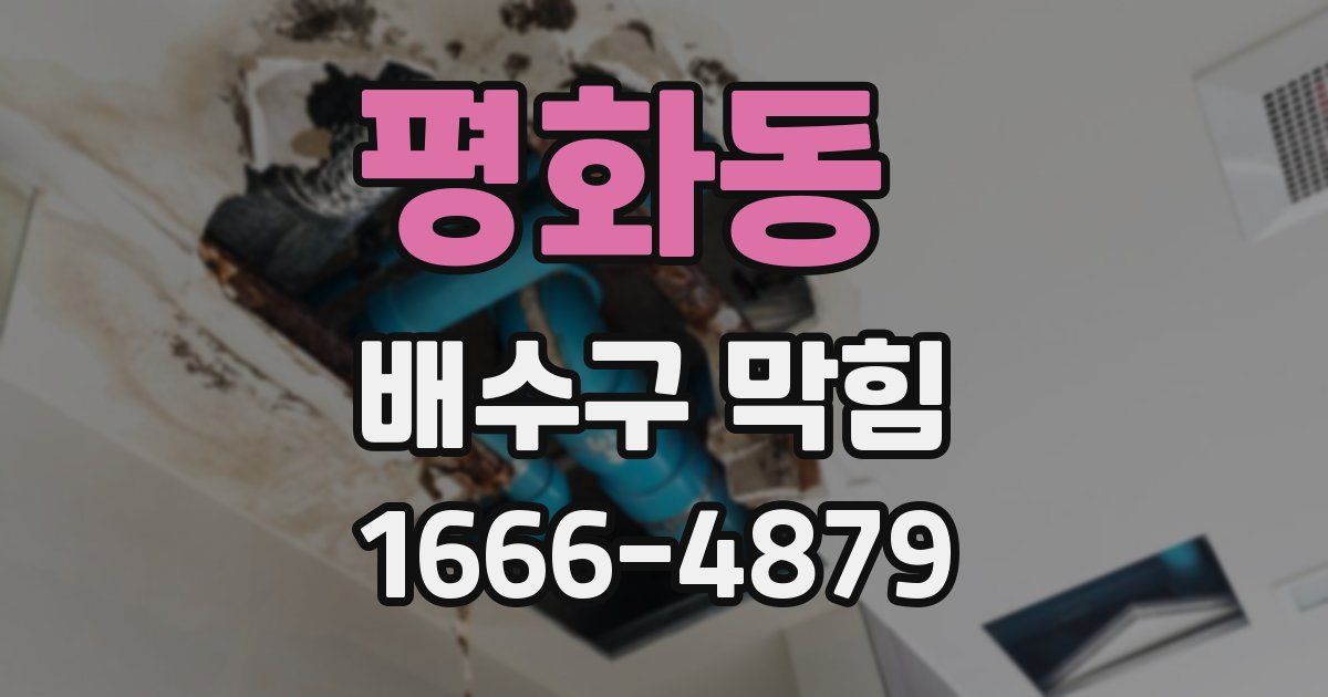 평화동 배수구 막힘