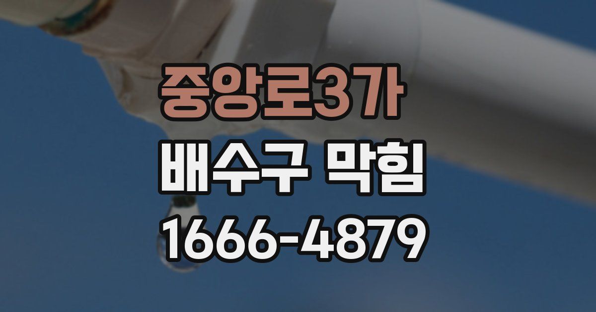 중앙로3가 배수구 막힘