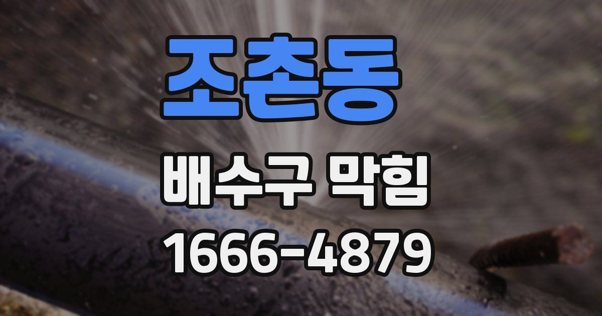 조촌동 배수구 막힘