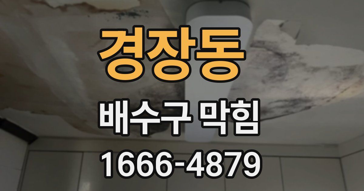 경장동 배수구 막힘