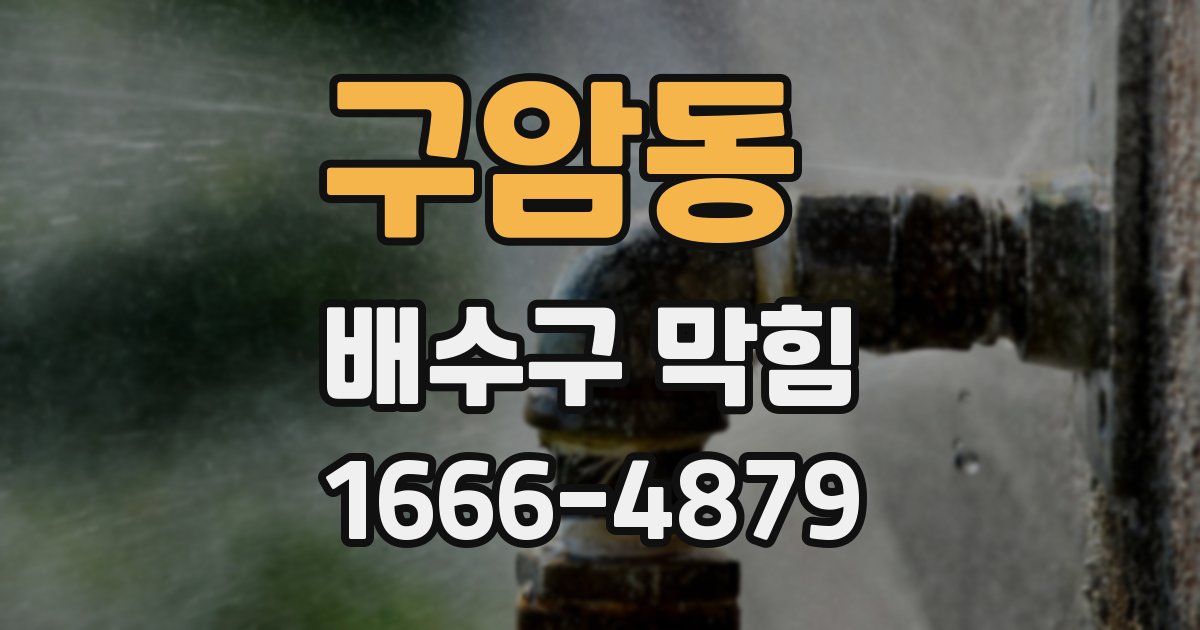구암동 배수구 막힘