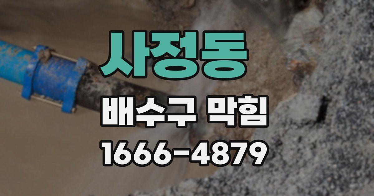 사정동 배수구 막힘