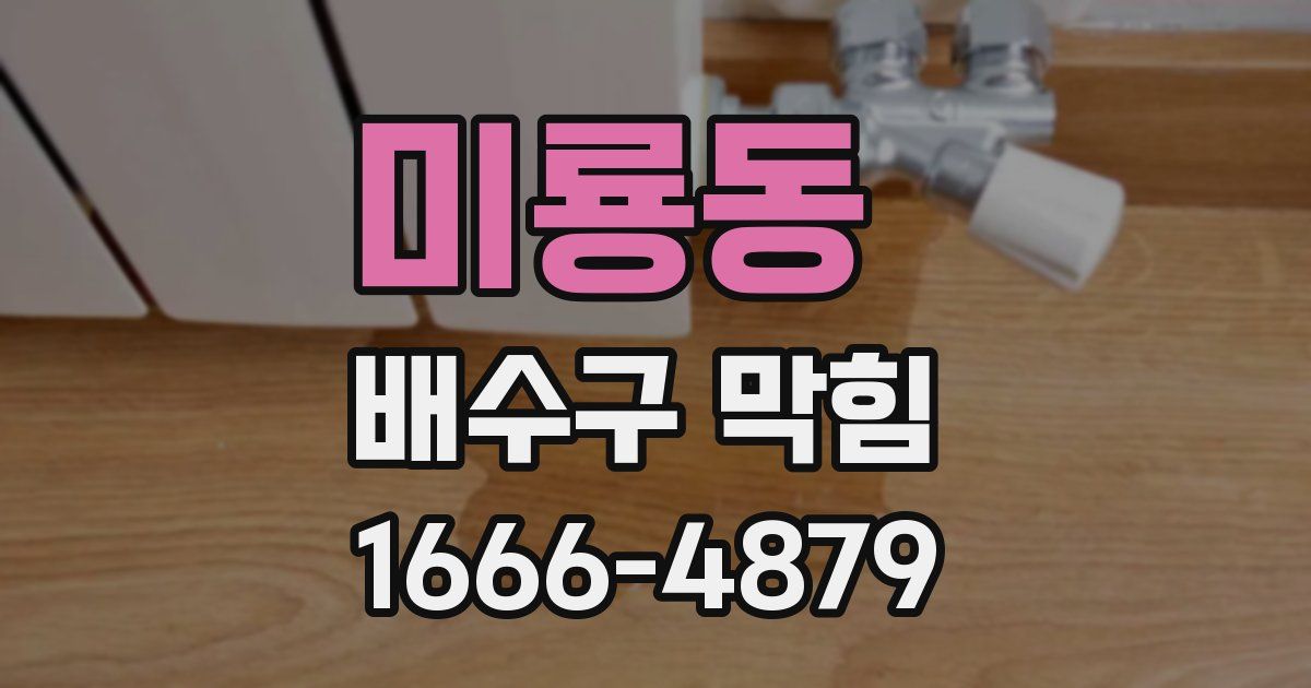 미룡동 배수구 막힘
