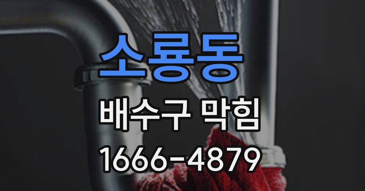 소룡동 배수구 막힘