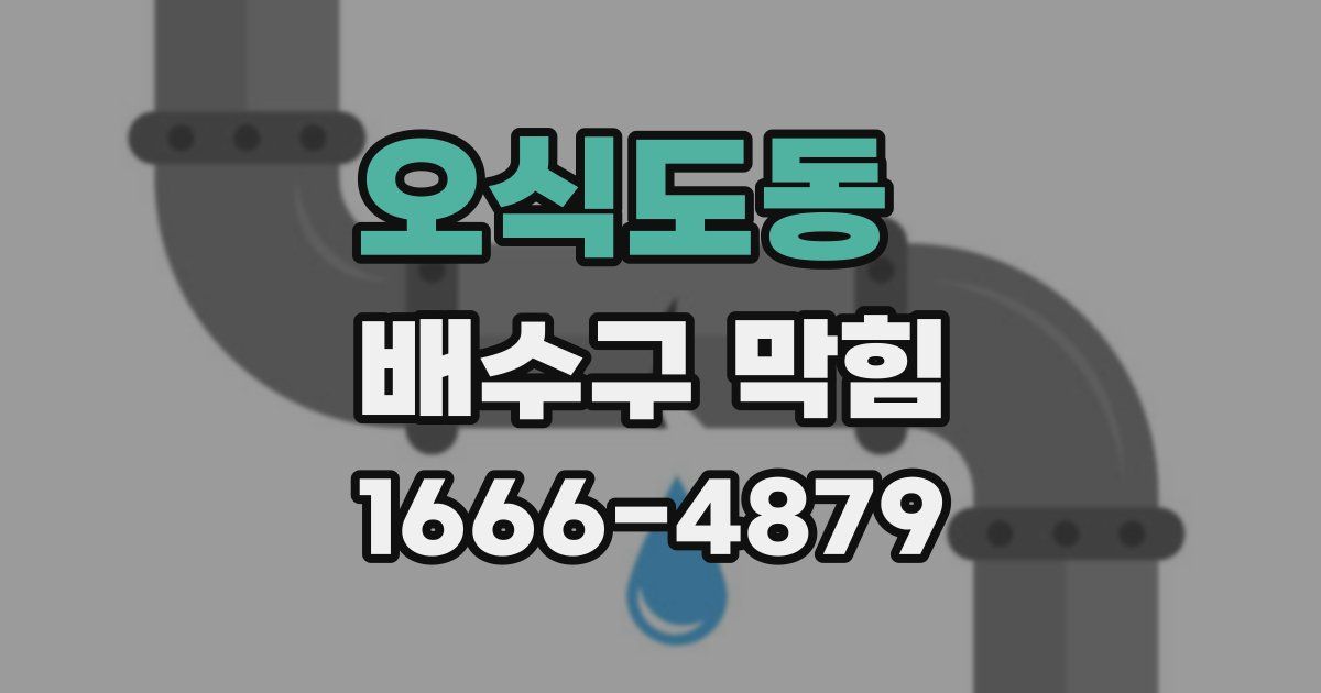 오식도동 배수구 막힘