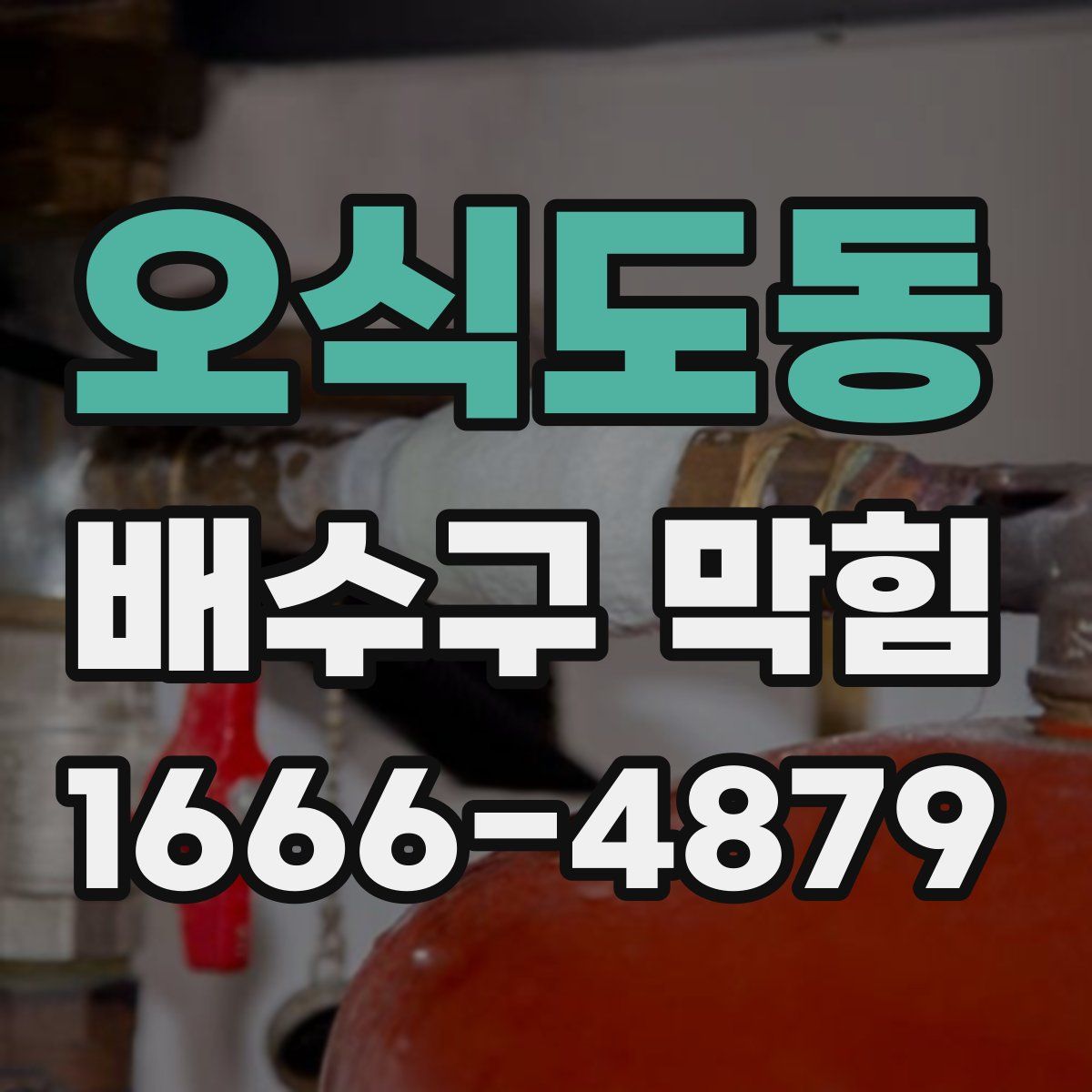 오식도동 배수구 막힘