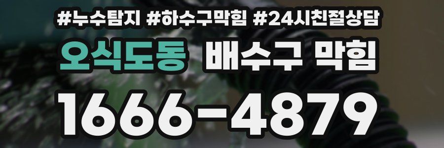 오식도동 배수구 막힘