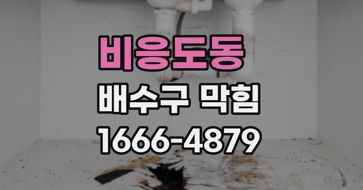 비응도동 배수구 막힘