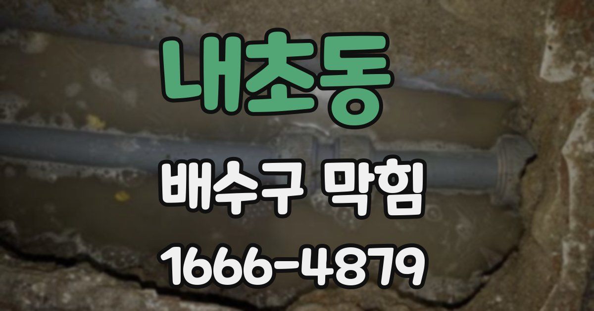 내초동 배수구 막힘