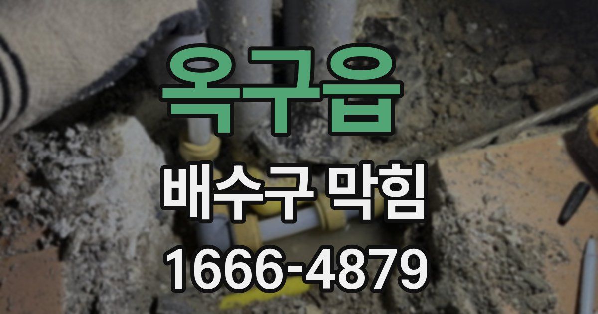 옥구읍 배수구 막힘